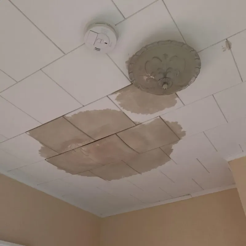 Ceiling Water Damage Repair in Pickett County, TN